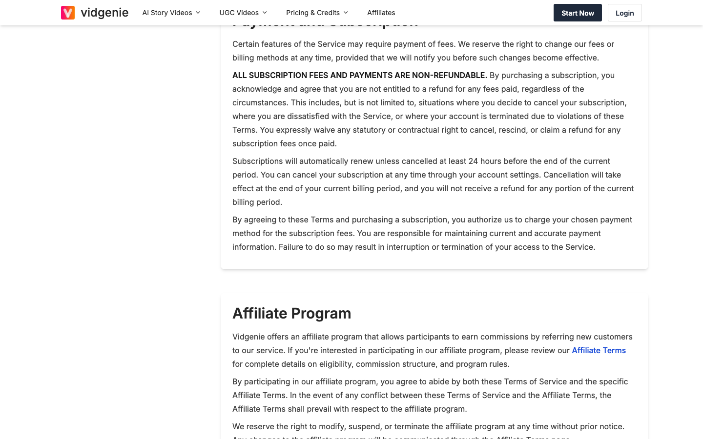The payment and subscription section of Vidgenie's terms of service